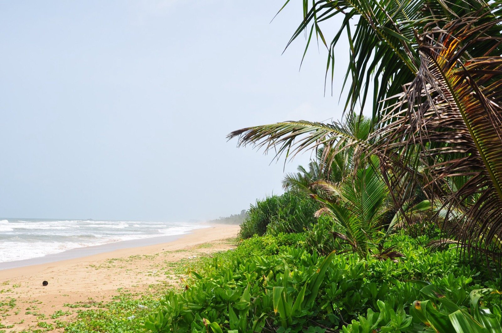 Bentota Leisure
