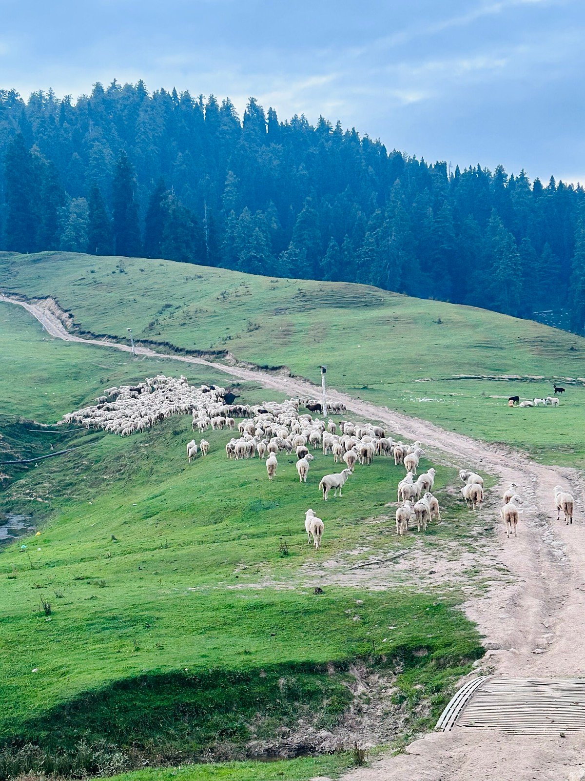 Srinagar to Gulmarg