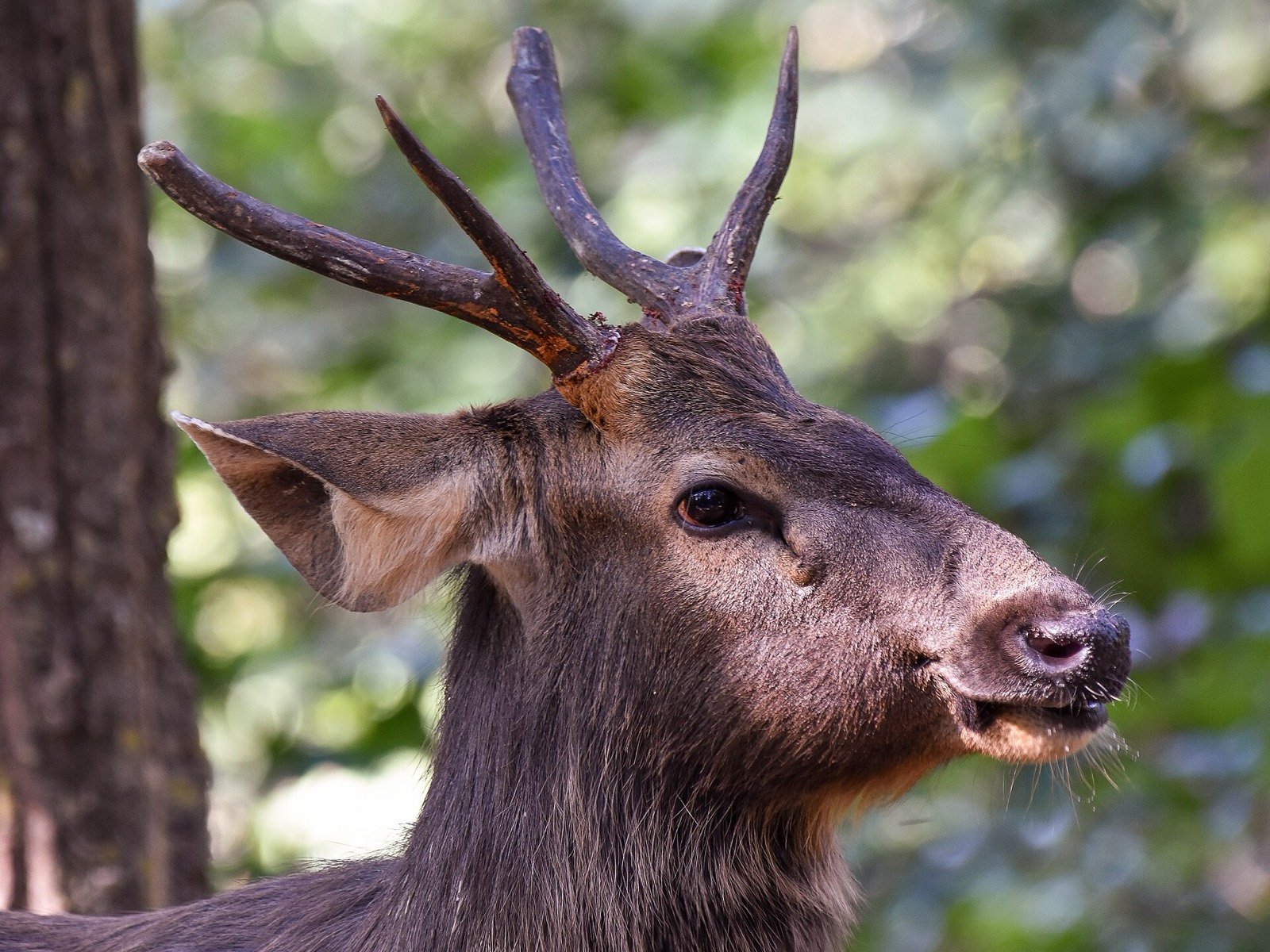 Mussoorie to Jim Corbett
