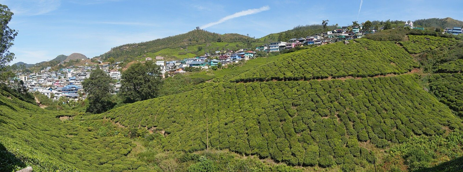 Arrival Cochin → Munnar