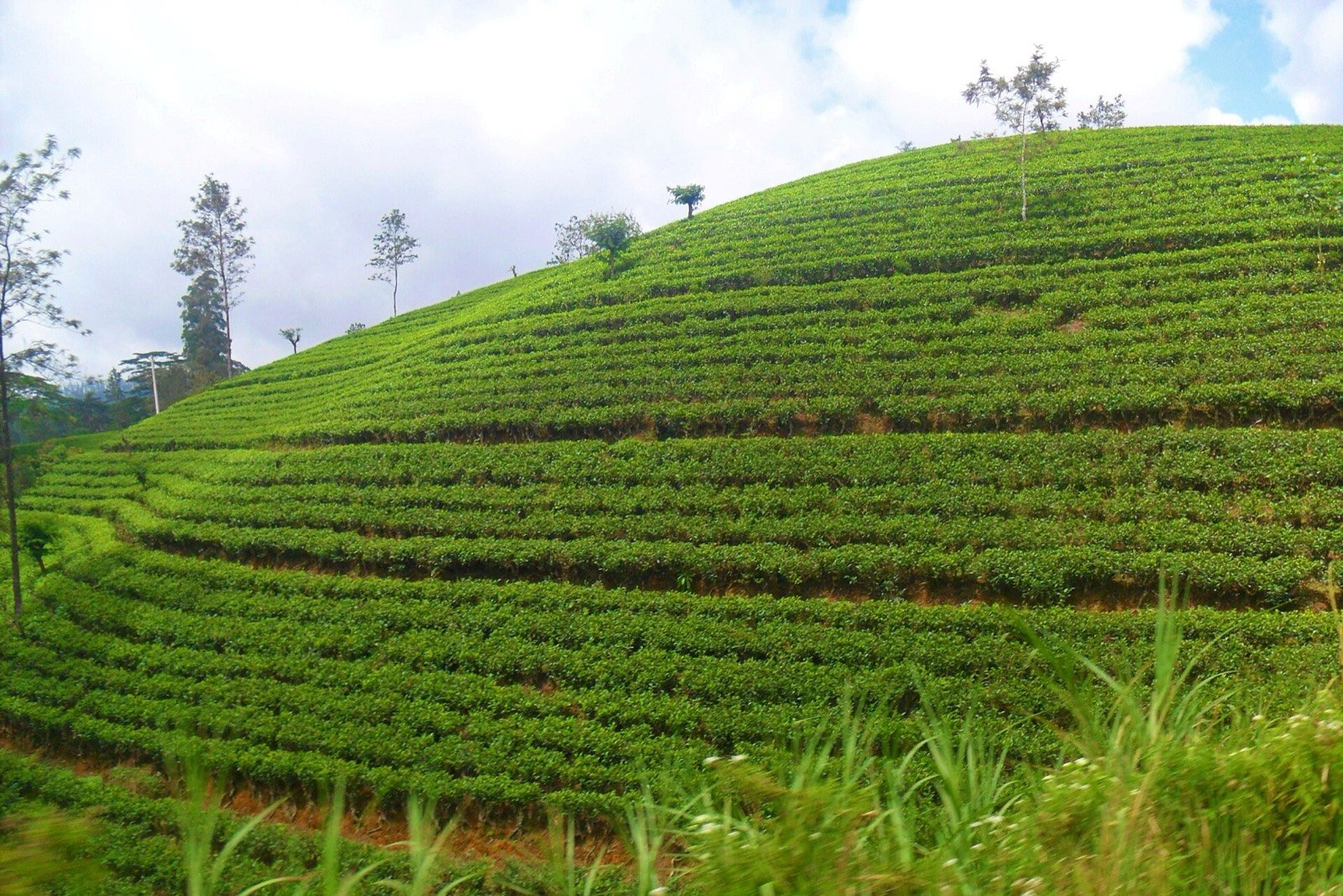 Kandy to Nuwara Eliya